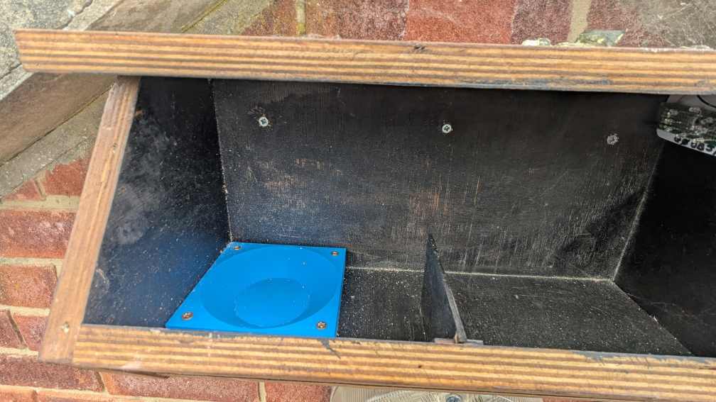 Common Swift on Nest Box